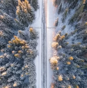 Image of Heartless by Bvdub CD Album