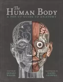 Image of The Human Body : A Pop-Up Guide to Anatomy