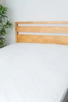 Image of Anti-Bac and Anti Allergy Mattress Protector