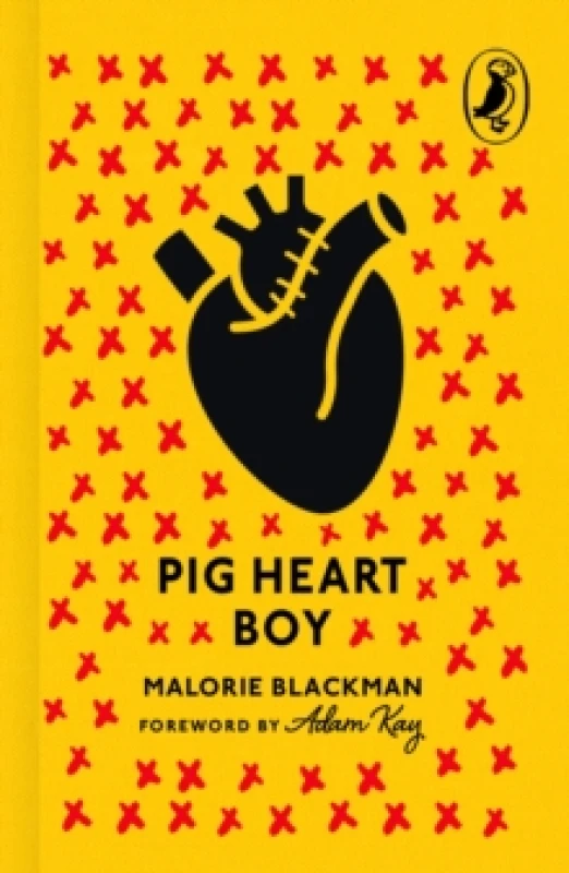 Image of Pig-Heart Boy Hardback