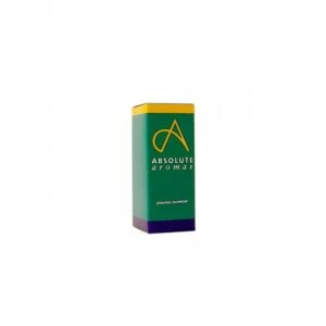 Image of Absolute Aromas Elemi Oil 10ml