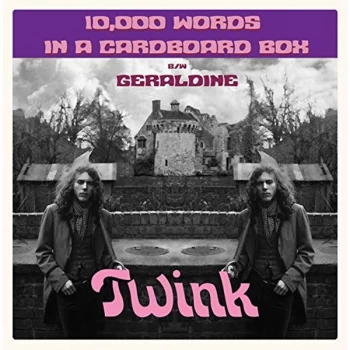 Image of Twink, Zion De Gallier - 10,000 Words In A Cardboard Box / Geraldine Vinyl