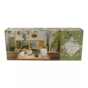 Image of Eucalyptus Diffuser and Candle Gift Set