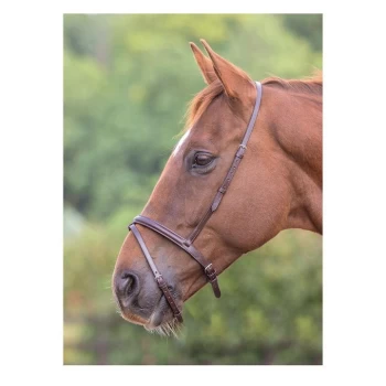 Image of Blenheim Flash Noseband - Brown