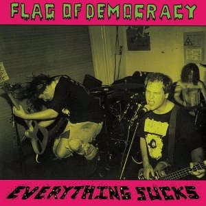 Image of Flag Of Democracy - Everything Sucks Vinyl