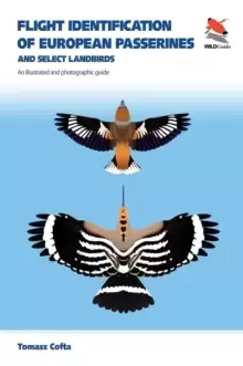 Image of Flight Identification of European Passerines and Select Landbirds : An Illustrated and Photographic Guide
