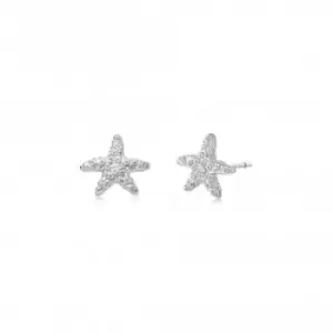 Image of Isla Starfish Stud Sterling Silver Earrings SE08_SLV