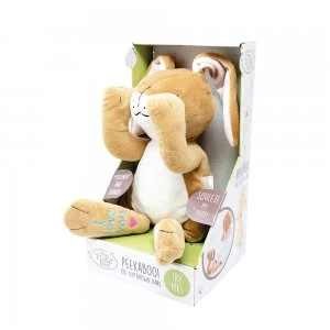 Image of Guess How Much I Love You Peek-a-boo Hare