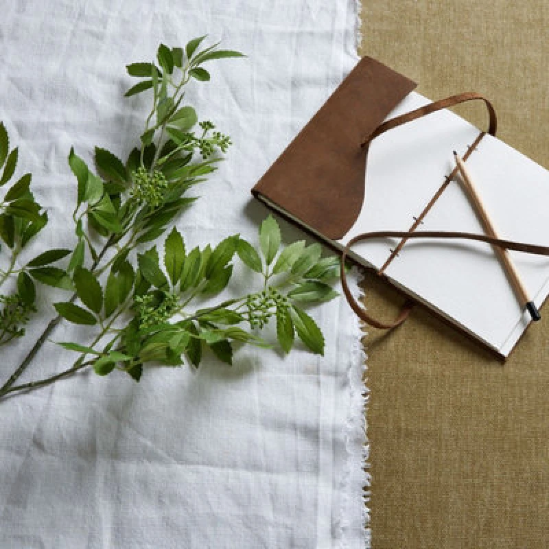 Image of Long Fennel Stem