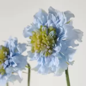 Image of Crossland Grove Scabiosa Spray Blue (6Pk) 510Mm