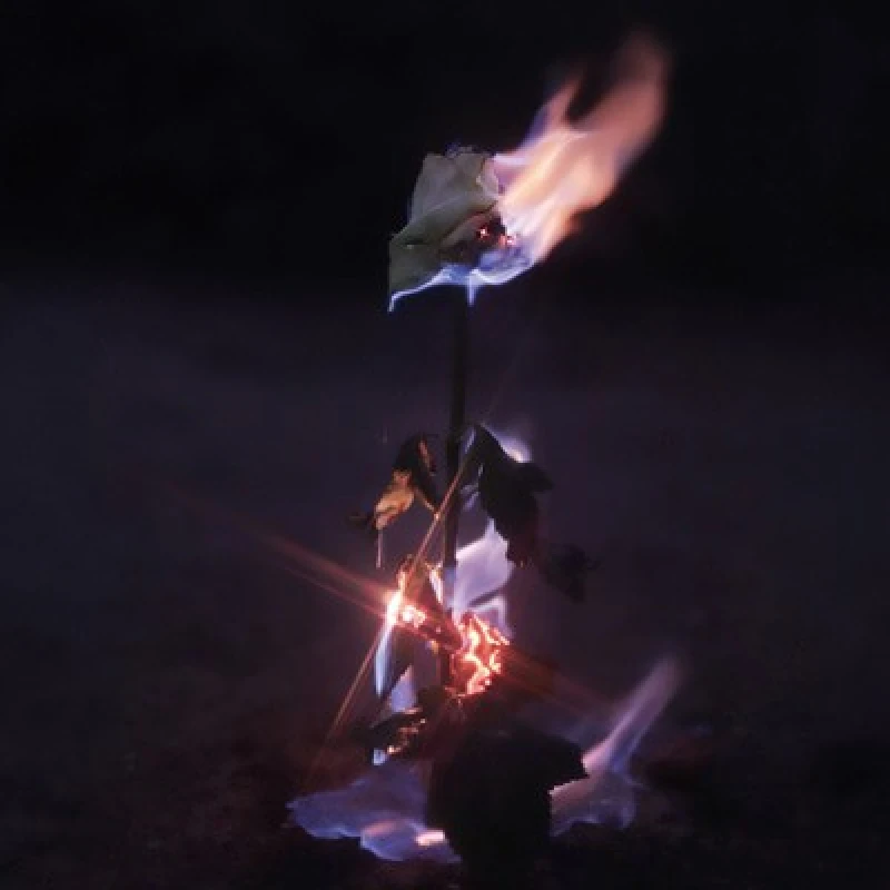 Image of Momentary Glow CD / Album