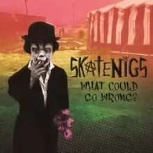 Image of What Could Go Wrong?