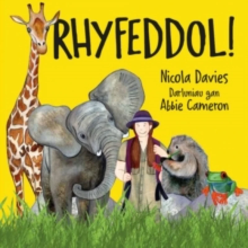 Image of Rhyfeddol! Paperback / softback