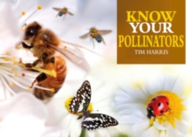 Image of Know Your Pollinators Paperback / softback