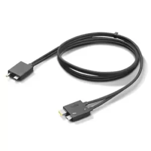 Image of Lenovo 4X91K16970 Thunderbolt cable 0.7 m 40 Gbit/s Black