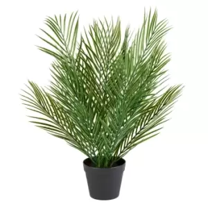 Image of 66Cm Date Palm Artificial Plant In Black Pot