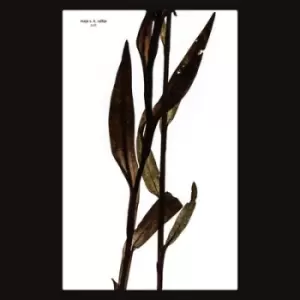 Image of Sult by Maja S.K. Ratkje CD Album