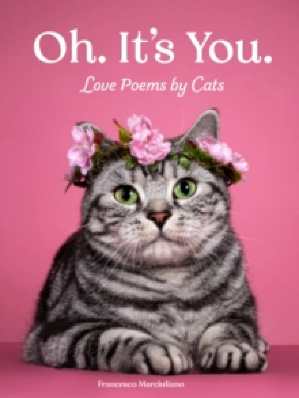Image of Oh. It's You. : Love Poems by Cats Hardback
