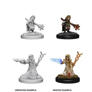 Image of Dungeons & Dragons Nolzur's Marvelous Unpainted Miniatures Female Gnome Wizard