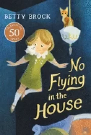 Image of no flying in the house harper trophy books