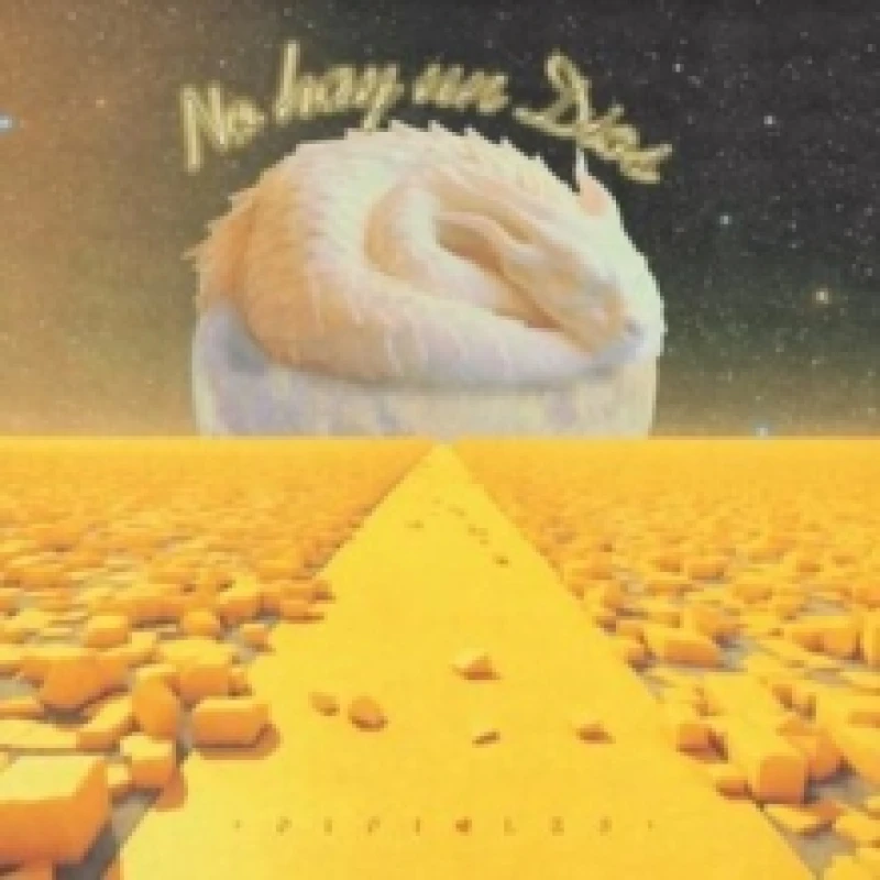 Image of No Hay Un Dios Vinyl