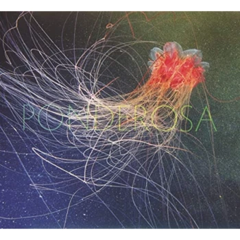 Image of Ponderosa - Pool Party CD