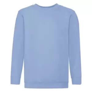 Image of Fruit Of The Loom Childrens Unisex Set In Sleeve Sweatshirt (3-4) (Sky Blue)