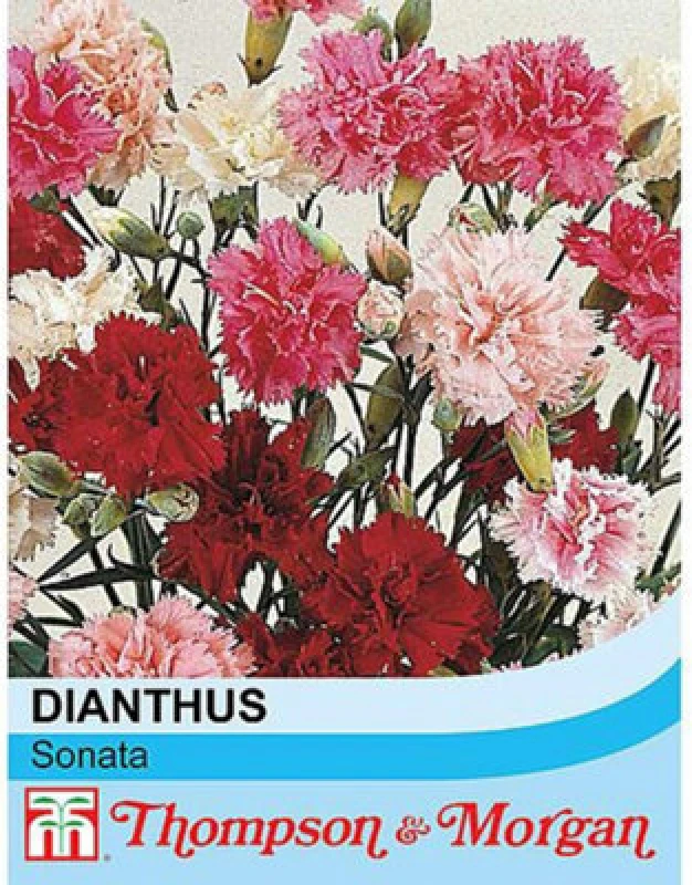 Image of Thompson & Morgan Dianthus Plumarius Sonata 1 Seed Packet (30 Seeds)