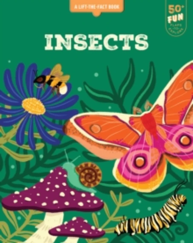 Image of Lift the Fact: Insects Board book