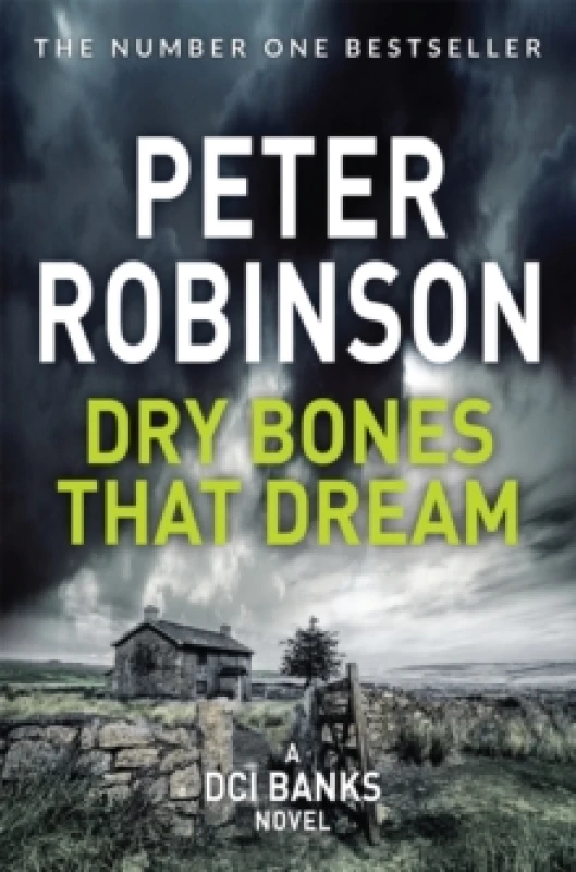 Image of Dry Bones That Dream Paperback / softback