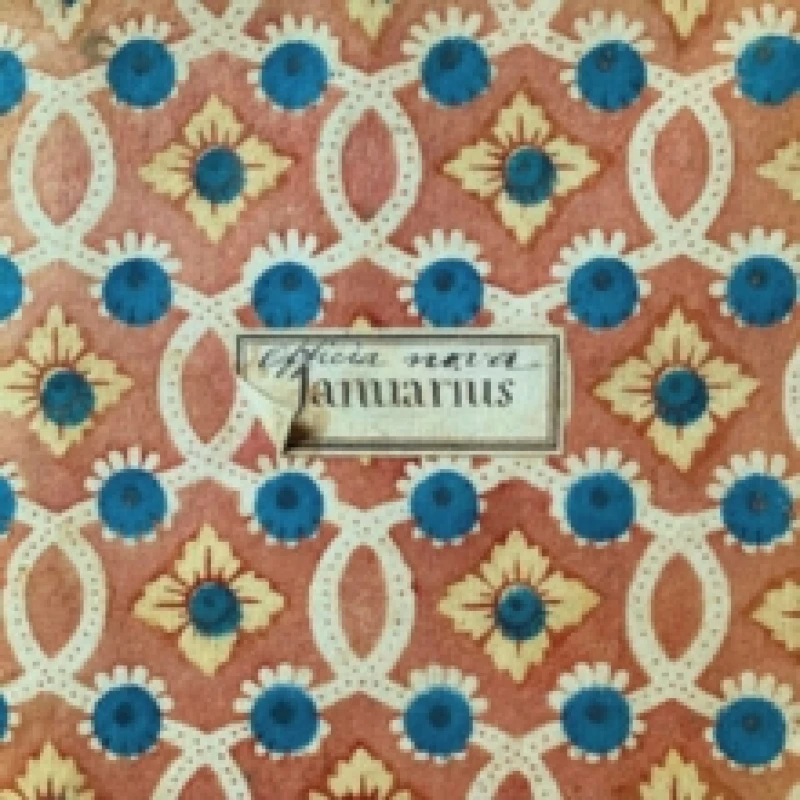 Image of Warm You/Spoonfeed Vinyl