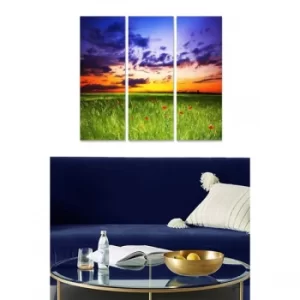 Image of MDF84120028 Multicolor Decorative MDF Painting (3 Pieces)
