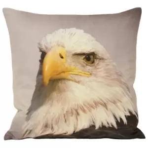 Image of Riva Home Animal Eagle Cushion Cover (45x45cm) (Multi)
