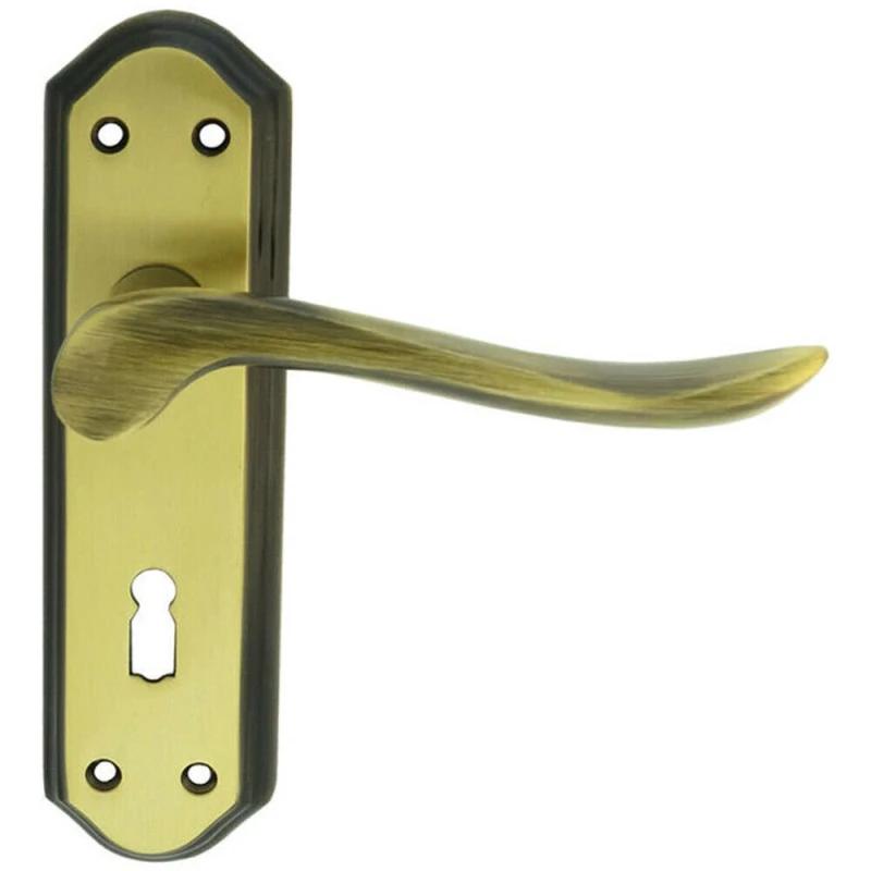 Image of Loops PAIR Curved Handle on Sculpted Lock Backplate 180 x 48mm Florentine Bronze Multi