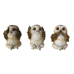 Image of Three Wise Brown Owls