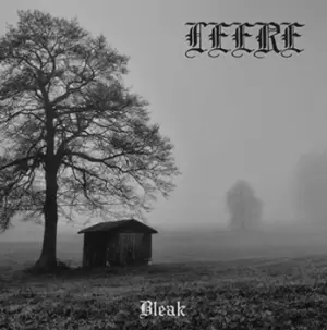 Image of Bleak by Leere CD Album