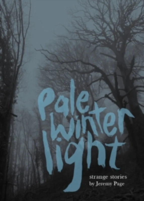 Image of Pale Winter Light Paperback / softback