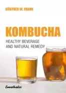 Image of kombucha healthy beverage and natural remedy from the far east its correct