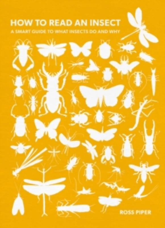 Image of How to Read an Insect : A Smart Guide to What Insects Do and Why Paperback / softback