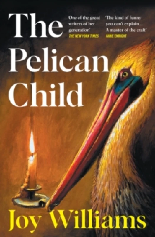 Image of The Pelican Child : Longlisted for the 2025 National Book Award Paperback / softback