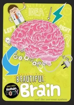 Image of Beautiful brain and the nervous system - Charlie Ogden - Paperback - Used