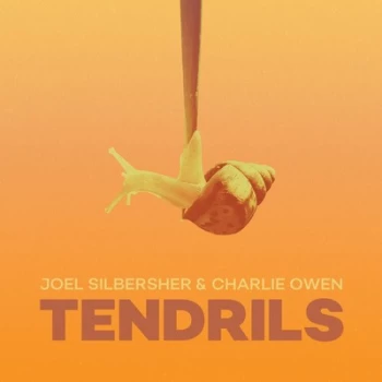 Image of Tendrils by Joel Silbersher & Charlie Owen Vinyl Album