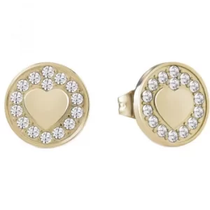 Image of Ladies Guess Jamila Gold Earrings