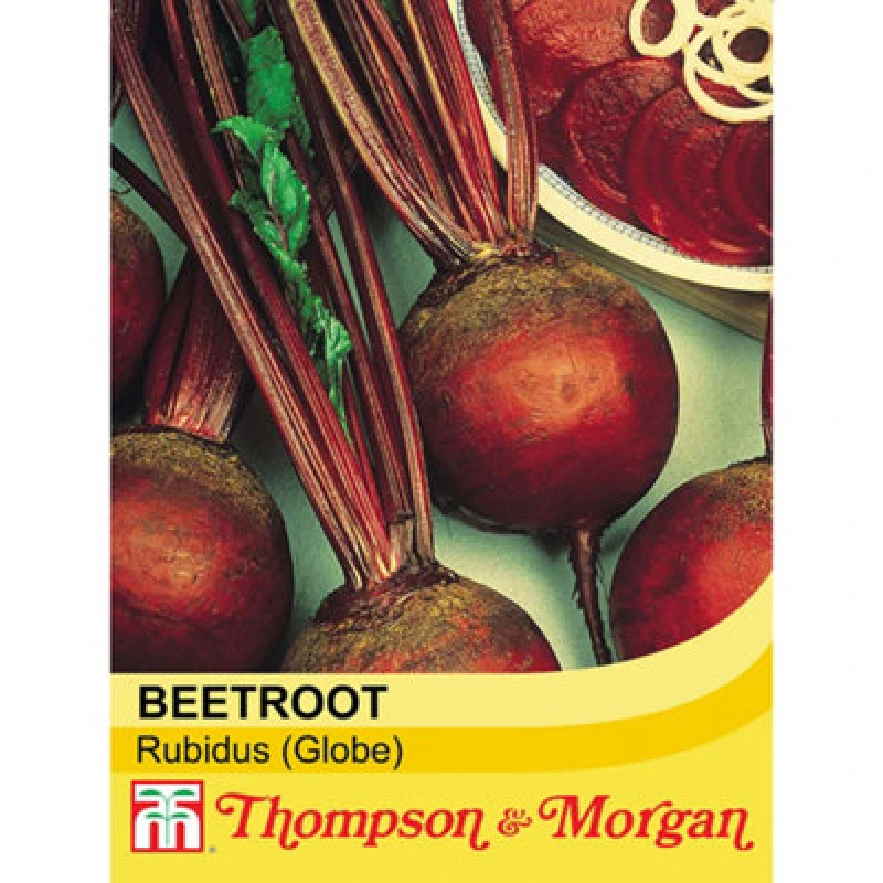 Image of Thompson & Morgan Beetroot Detroit 6 Rubidus 1 Seed Packet (200 Seeds)