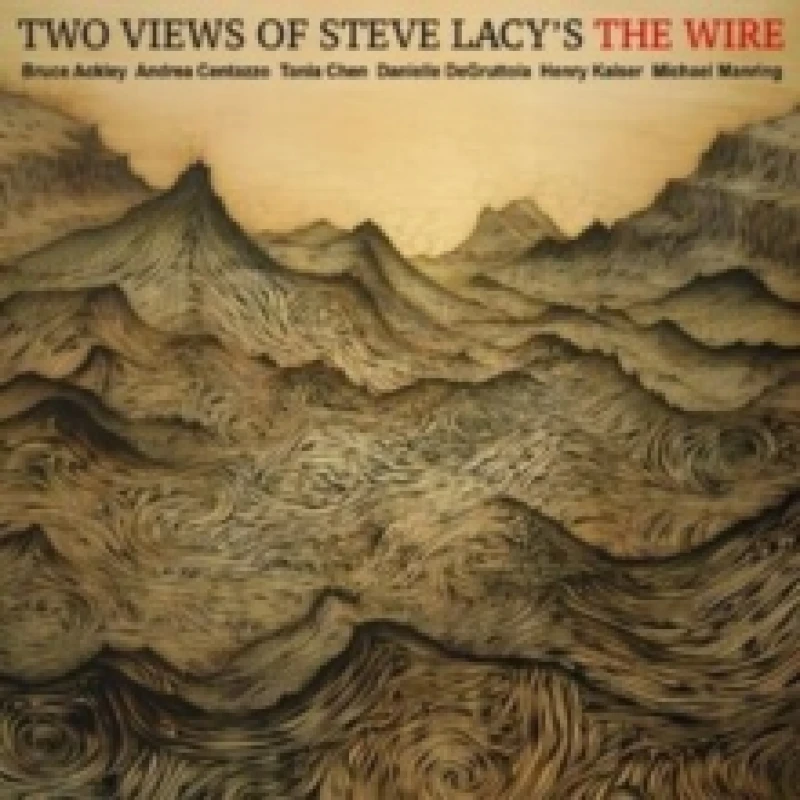 Image of Two views of Steve Lacy's the wire CD / Album