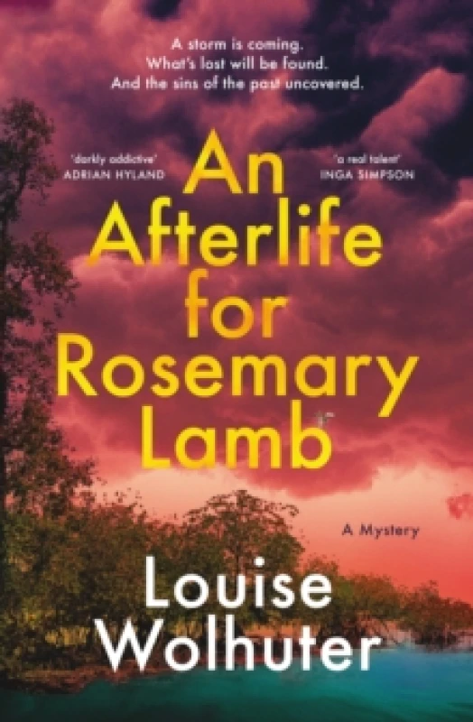 Image of An Afterlife for Rosemary Lamb Paperback / softback