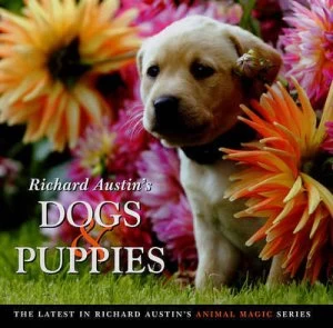 Image of Richard Austins Dogs and Puppies by Richard Austin Hardback