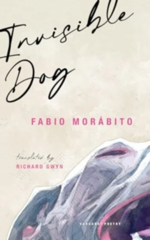 Image of Invisible Dog Paperback / softback
