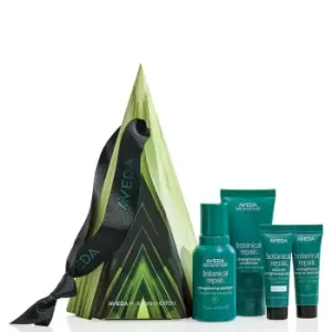 Image of Aveda Botanical Repair Bond-building Ornament