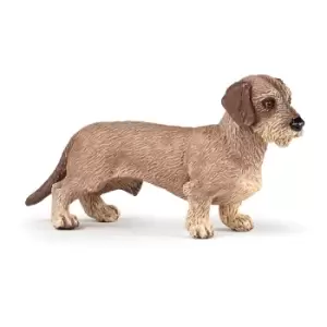 Image of Papo Dog and Cat Companions Dachshund Toy Figure, 3 Years or...